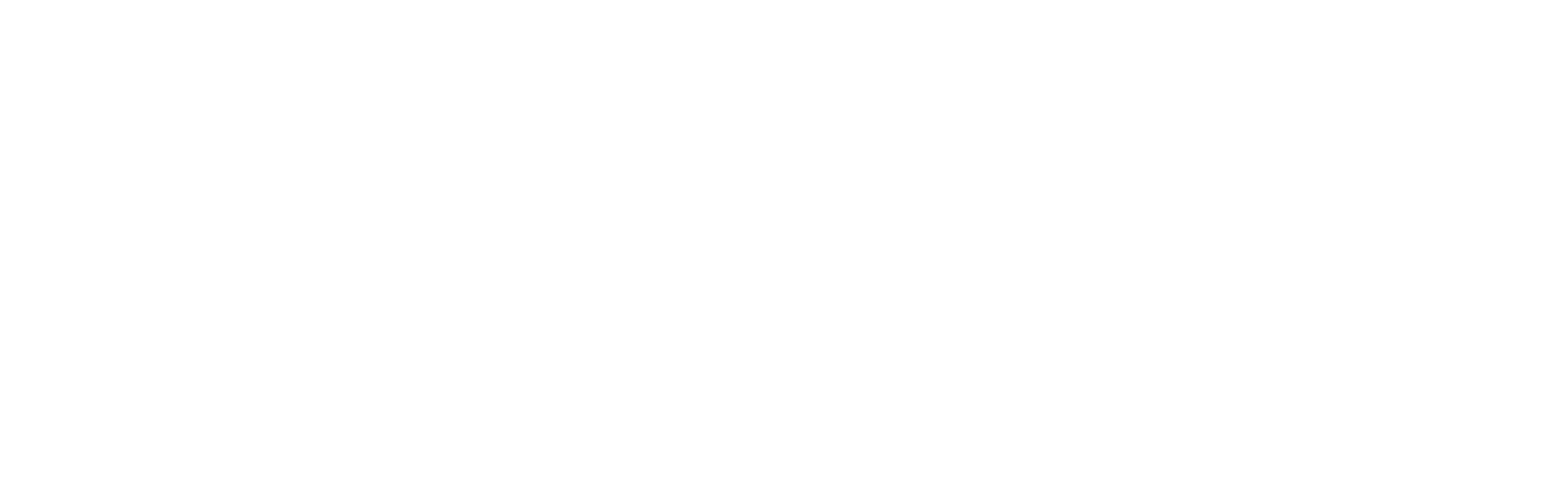 Mindskills Training