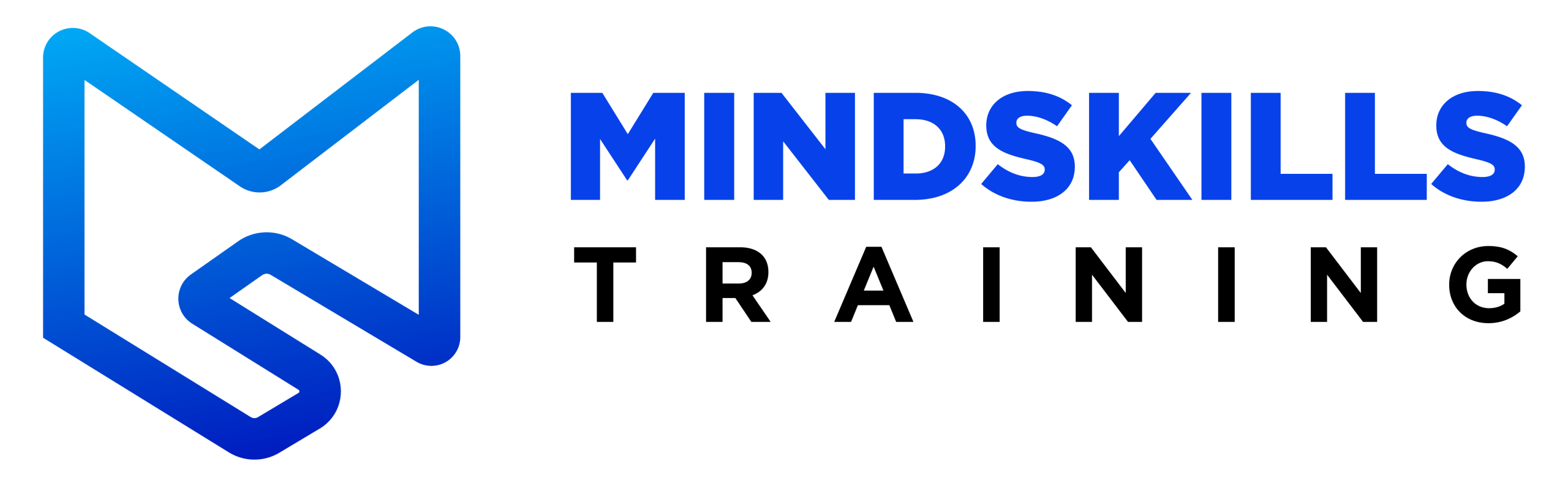 Mindskills Training